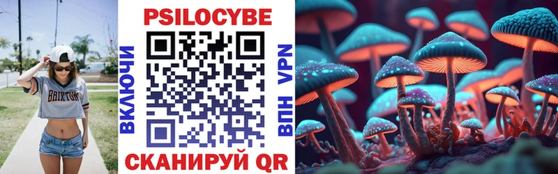 Купить где  Фатеж  Галлюциногенные грибы GOLDEN TEACHER 